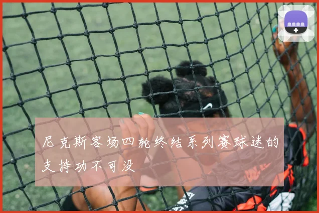 尼克斯客场四轮终结系列赛球迷的支持功不可没
